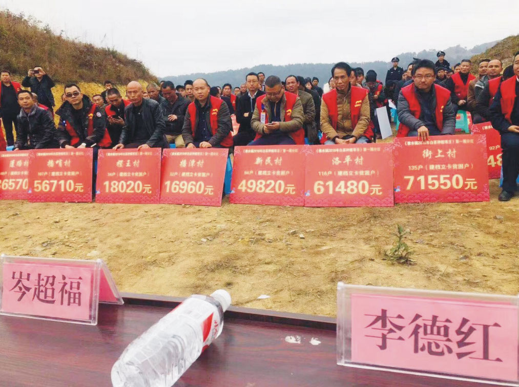 惠水县雅水镇多举措抓实茶产业发展