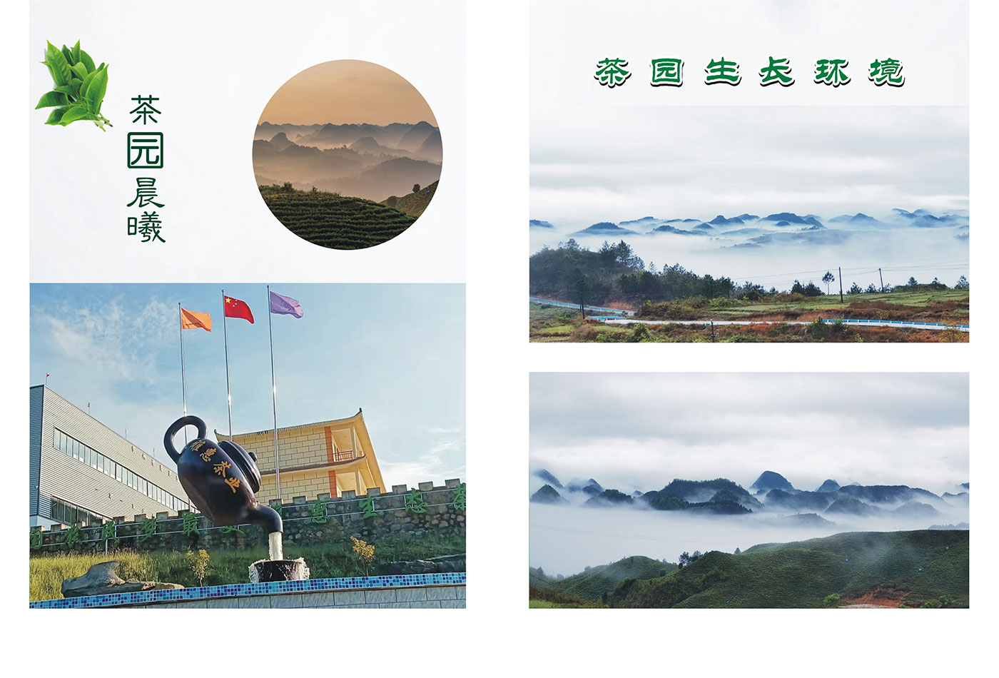 公司简介