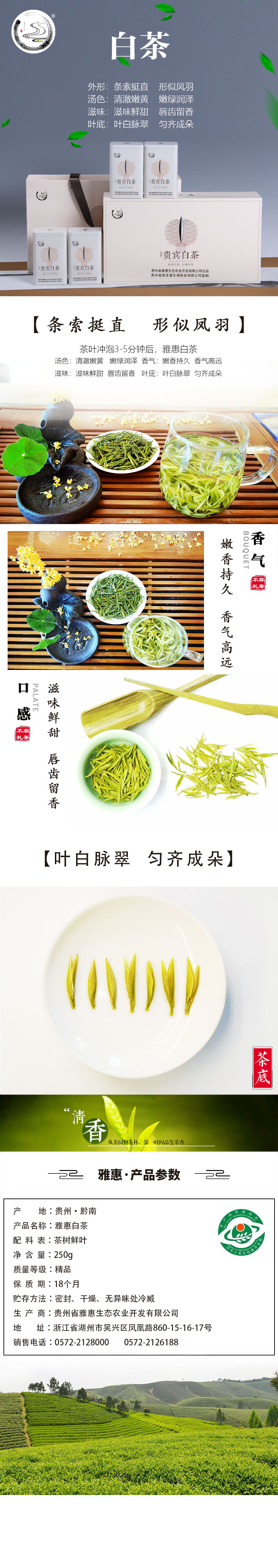 惠水雅惠白茶