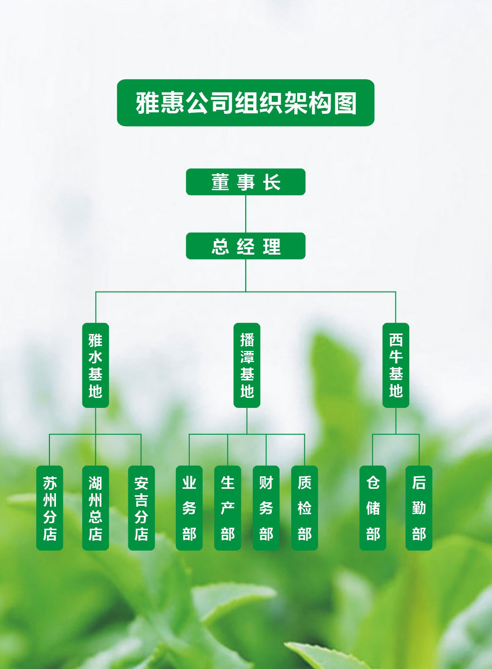 组织机构