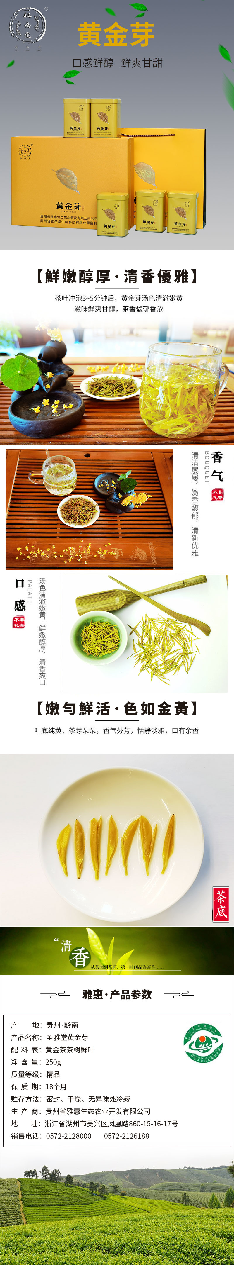 惠水雅圣堂黄金芽