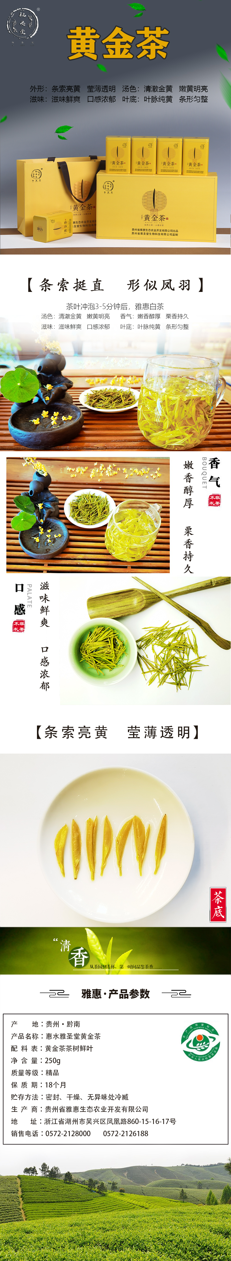 惠水雅圣堂黄金茶
